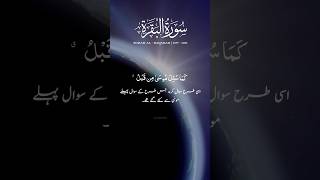 surah baqarah ayat no 107108 translation  shorts mihrabeilm quran [upl. by Bolger326]