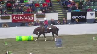 Aries and I at the Equine Affaire Massachusetts Versatility Competition [upl. by Boatwright]