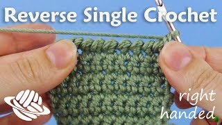 Reverse Single Crochet righthanded version [upl. by Tommy]