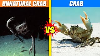 Unnatural Crab vs Crab  SPORE [upl. by Arihsay]