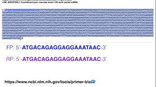 Biotechniques  Principles of Primer Design for Full Gene Amplification [upl. by Dorsy678]