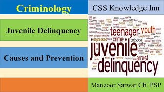 Juvenile Delinquency  Causes and Prevention [upl. by Elbas]