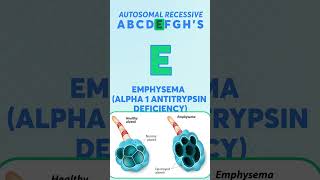 Autosomal Recessive  Learn with Mnemonics [upl. by Eiramanit696]