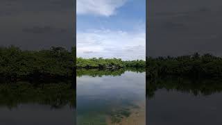 PLAYA BOQUILLAS CAZONES VERACRUZ [upl. by Xanthus289]