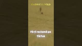 PROMOVARE TIKTOK YOUTUBE FACEBOOK metaldetecting legend metaldetector istoria foryou [upl. by Dannie]