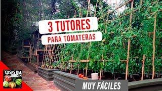 COMO GUIAR TOMATES Y ENTUTORADO  FACIL Y ECONOMICO ft en20metros [upl. by Silvan500]