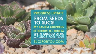 Easiest succulents to grow from seed  a progress video [upl. by Annamarie814]