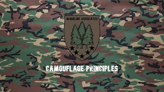 Fundamentals of Camouflage [upl. by Suoicerp]