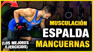 🔴 Los Mejores Ejercicios MANCUERNAS ESPALDA  GUIA MUSCULACION ESPALDA CON MANCUERNAS [upl. by Gernhard90]