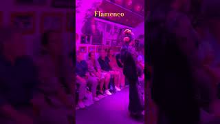 Flamenco em Granada  Andalucia  Espanha  Tangos [upl. by Nirehs]