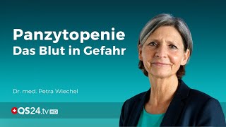 Panzytopenie – Das Blut in Gefahr  Dr med Petra Wiechel  Visite  QS24 Gesundheitsfernsehen [upl. by Luigi]