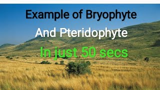 Learn Example of Bryophyte and Pteridophyte with Mnemonics  NEETOUAT Other exams shorts Kaibalya [upl. by Kant662]