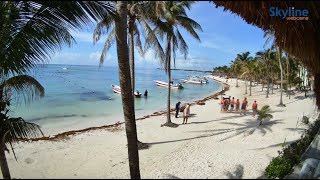 🔴 Recorded live footage from Akumal Bay  Mexico [upl. by Sibylle]