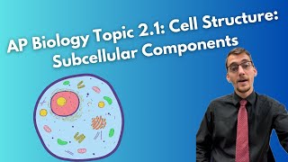 21 Cell Structure Subcellular Components  AP Biology [upl. by Nottage]