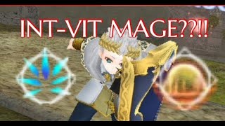 Toram Online Nemesis Finale INTVIT Semi Tank MageT5 Personal Build The Vanguard [upl. by Samira]