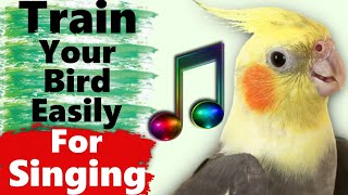 Cockatiel Singing and Whistle Training Songs [upl. by Ecinnahs]