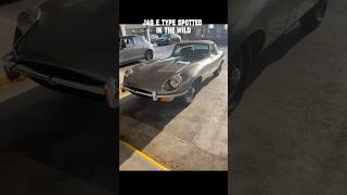 Wild E type jag  Gloucester [upl. by Amihsat]