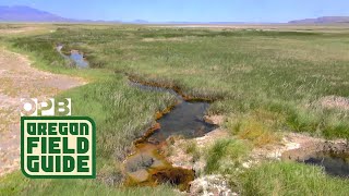 Oregons Steens Mountain and Alvord Desert [upl. by Yelnet]