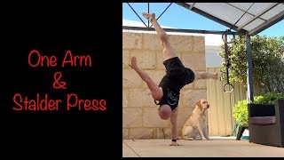 One Arm Handstand amp Stalder Press [upl. by Aenyl345]