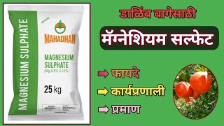 मॅग्नेशियम सल्फेटचं दाळिंब‌ बागेत फायदे कार्यप्रणाली व प्रमाण [upl. by Beesley]