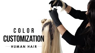 HOWTO Color Customize RN Human Hair Wig  Human Hair Care [upl. by Bass]