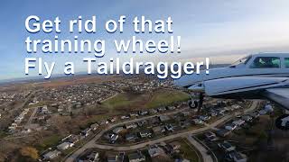 Flying Tailwheel Aircraft will make you a better pilot [upl. by Tteraj]