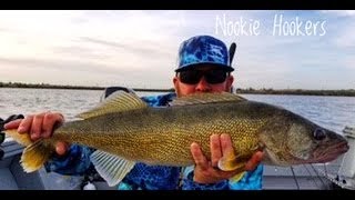 Umatila walleye tournament day 1 prespawn walleye fishing with crankbaits [upl. by Barram]