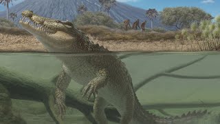 The Paleoafrican Crocodiles The Crocodilians That Ate Our Ancestors [upl. by Briney]