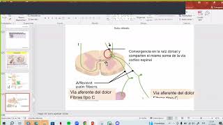 📚Clse 23 Parte IV Fisiopatología del Dolor Dr Aguilar [upl. by Joslyn255]