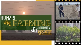 Humari Nimbu Farming journey ki starting [upl. by Zednanreh]