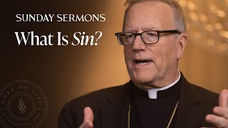 What Is Sin  Bishop Barrons Sunday Sermon [upl. by Flessel51]