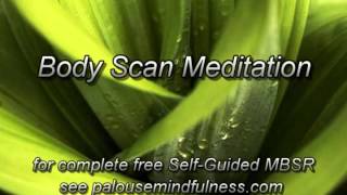 MBSR Body Scan Meditation 2013 version [upl. by Ressan807]