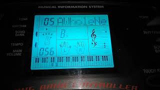 Aladdins Theme  A Whole New World Casio CTK 541 Song Bank 8 [upl. by Kramal]