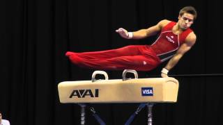 Sam Mikulak  Pommel Horse  2012 Visa Championships  Sr Men  Day 1 [upl. by Simons156]