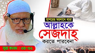 সূরা ক্বলমের শেষপর্বের তাফসীরে নতুন কিছু তথ্য  Mau Mozammel Haque New Waz [upl. by Richart]