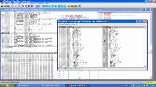 Cracken mit OllyDBG [upl. by Christiano]