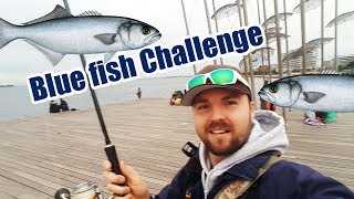 Bluefish Challenge  Предизвикателството лефер [upl. by Jonna376]