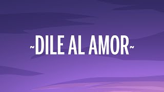 Aventura  Dile Al Amor LetraLyrics [upl. by Adli145]