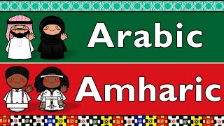 SEMITIC ARABIC amp AMHARIC [upl. by Htessil]