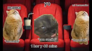 gatos en el cine meme de gatos [upl. by Allene]