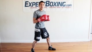 10 Boxing Footwork Tips [upl. by Odrawde838]