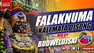 Falaknuma Kali Mata Dj Song  Chettu Kinda Dorasani  Old City Amruth Potharaju DjSong BUDWELDJSAI [upl. by Gianina]