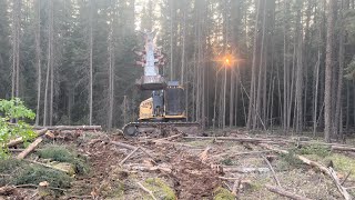 Tigercat 870C feller buncherNorthern Ontario logging [upl. by Torrlow706]