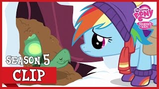 Rainbow Let Tank Hibernate Tanks for the Memories  MLP FiM HD [upl. by Stephani]