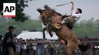 Argentines celebrate Tradition Day showcasing the gaucho culture [upl. by Mozart209]