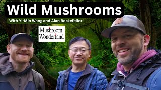 Wild Mushrooms with YiMin and Alan Rockefeller in Mushroom Wonderland [upl. by Otrebogir]