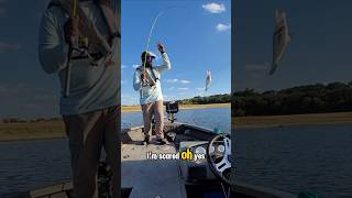 Heres How Im catch Fall Crappie in 2024 [upl. by Tacye765]