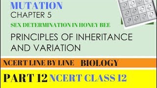 Part12 PRINCIPLES OF INHERITANCE AND VARIATIONMUTATION chapter5 NCERT class 12th Biology [upl. by Boland349]