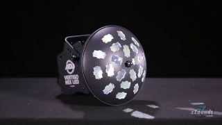 zZoundscom American DJ Vertigo HEX LED Effect Light [upl. by Smiga]