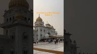 Gurudwara Shri Bangla Sahib ji Delhi 🙏🏻✨🌸🕊️🍃 banglasahib [upl. by Jankey]